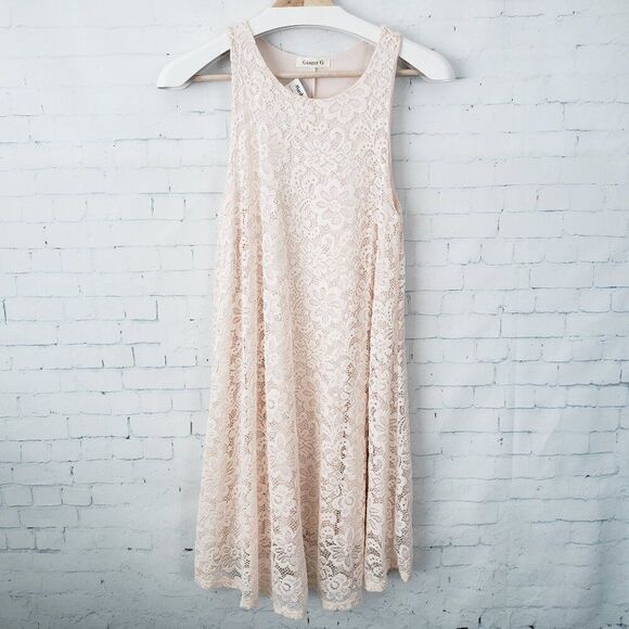 Ginger G Trapeze Lace Overlay Dress Size S Light Pink Lined Stretch NEW Womens - Picture 1 of 9